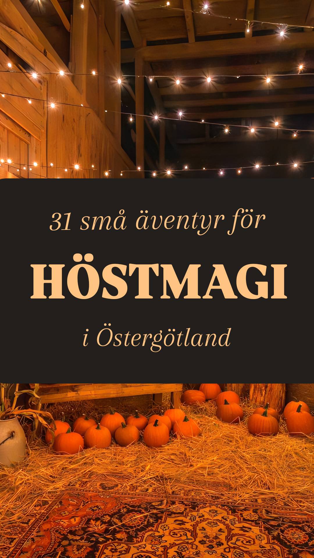 Östergötland's Autumn Adventures and Attractions