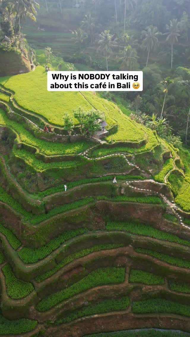 Bali's Scenic Cafes Overlooking Ocean and Rice Terraces