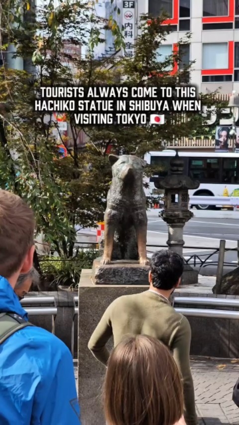 Two Hachiko Statues: One Peaceful University Campus