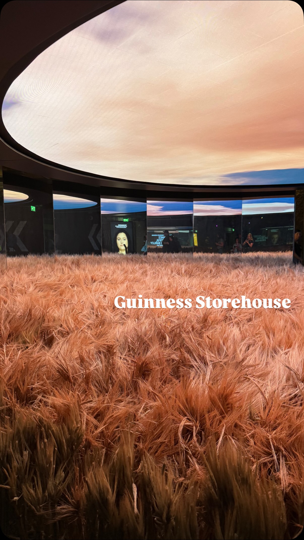 Dublin's Guinness Storehouse: A Must-Visit Experience