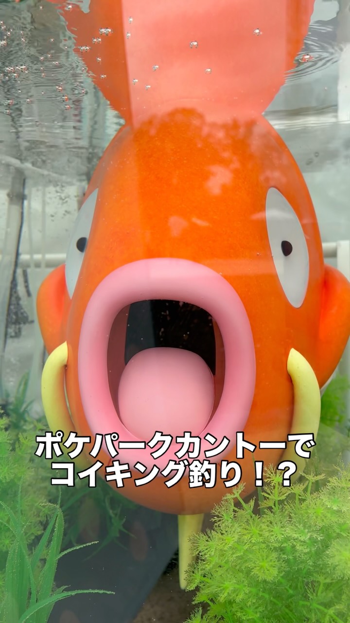 PokePark Kanto Magikarp Fishing Challenge