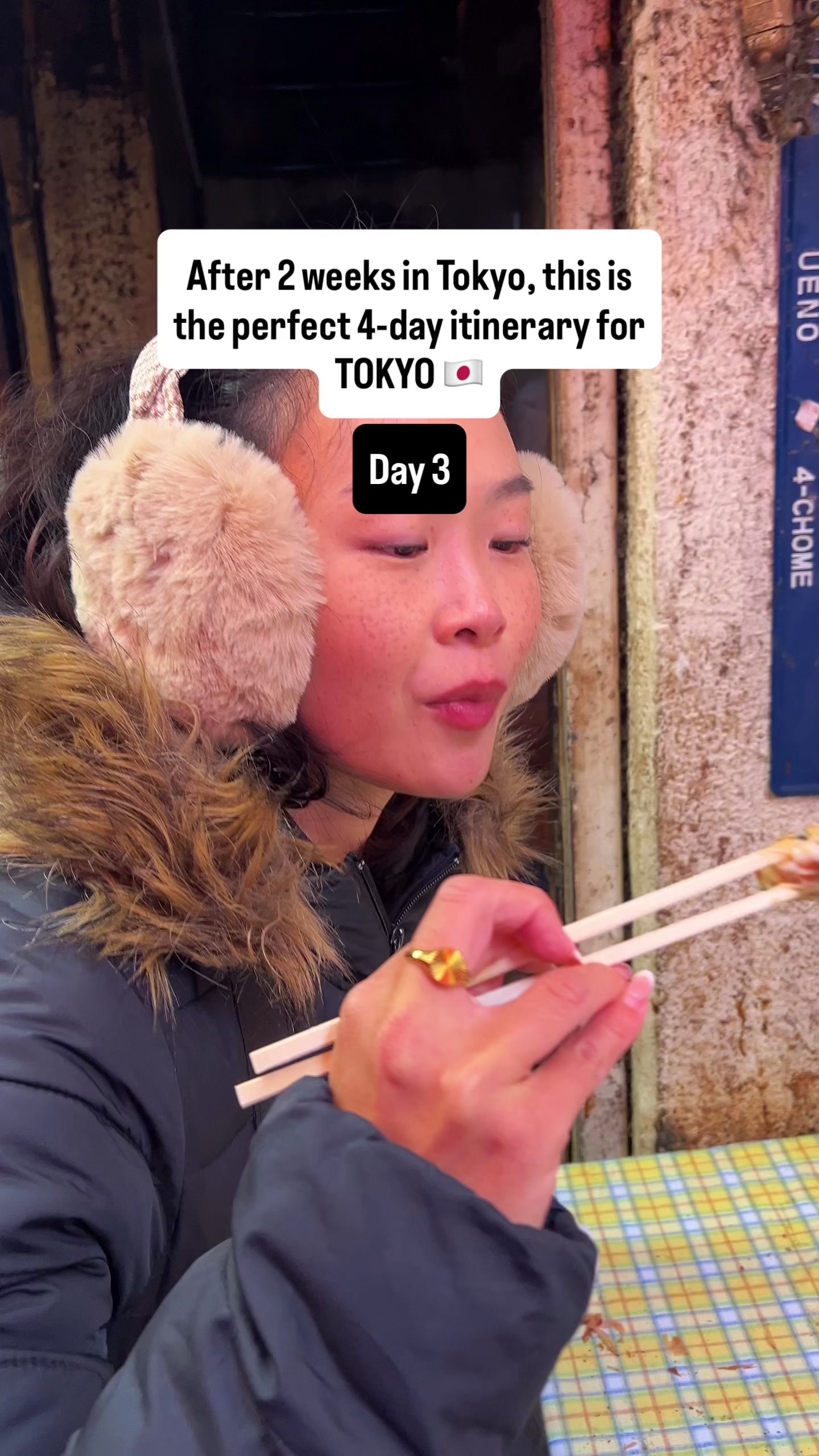 Tokyo's Yanaka and Ueno Neighborhoods Exploration
