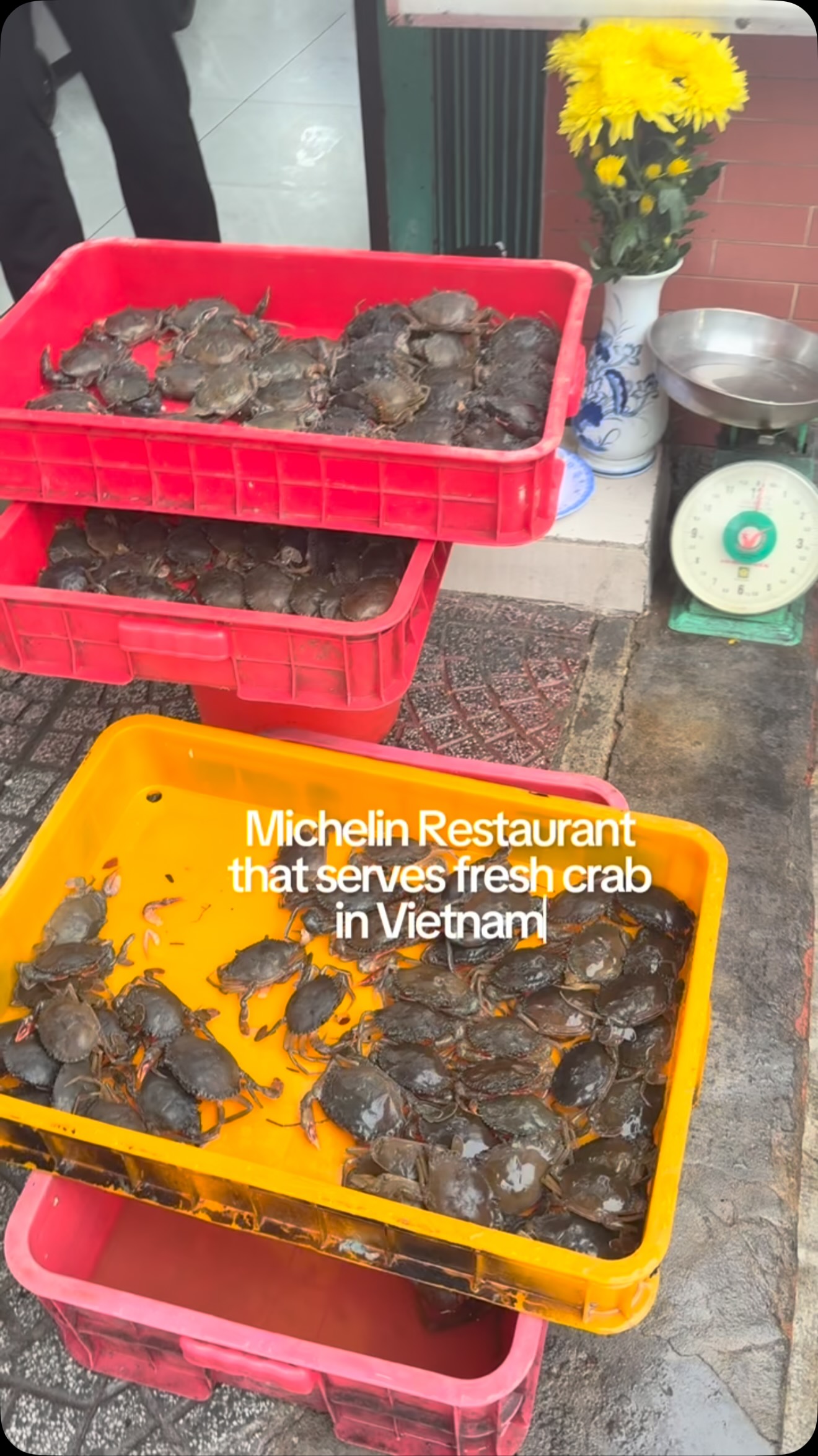 Michelin-Selected Crab Restaurant in Ho Chi Minh City