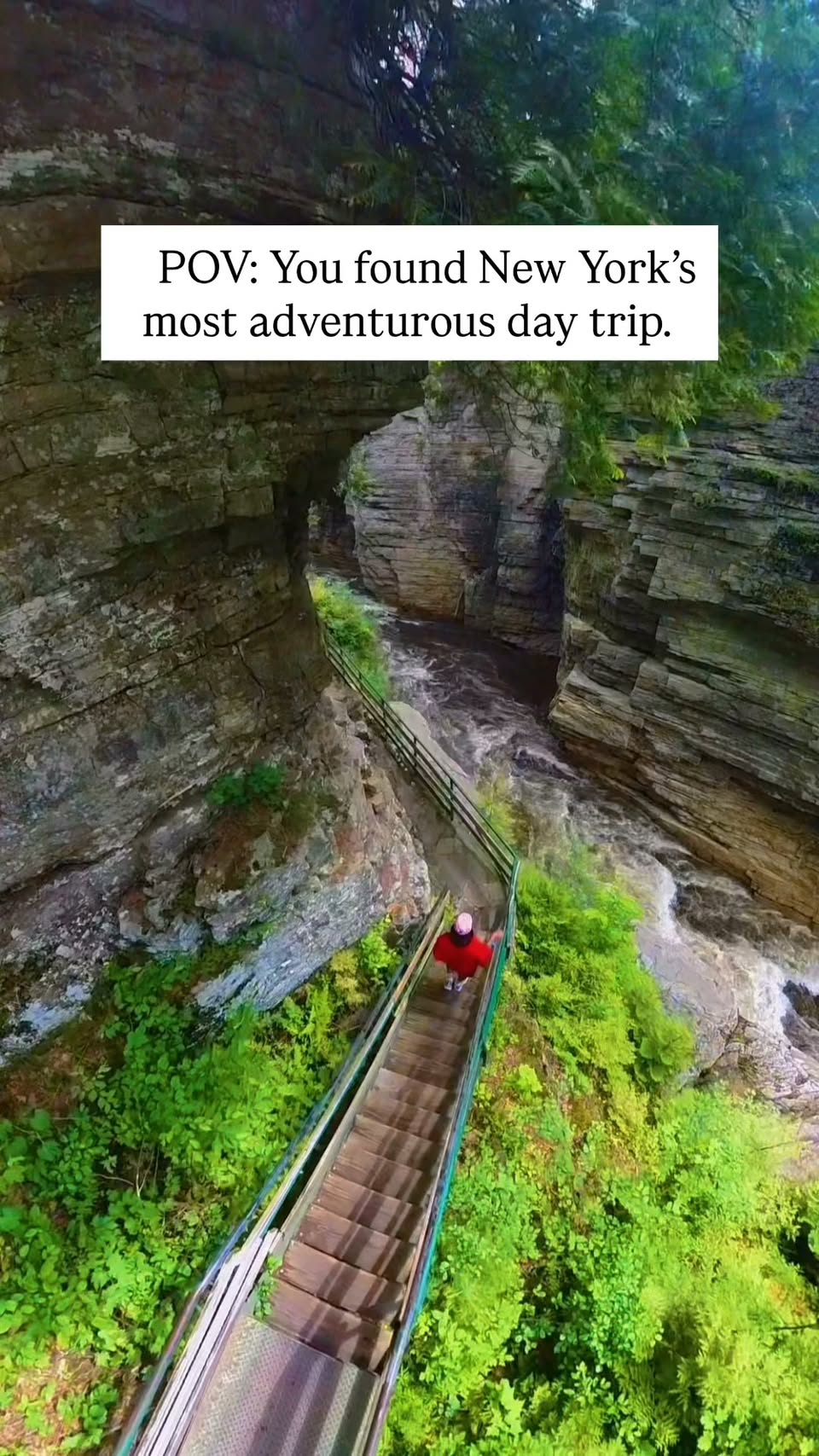 New York Chasm Offers Jurassic Park-Like Adventures