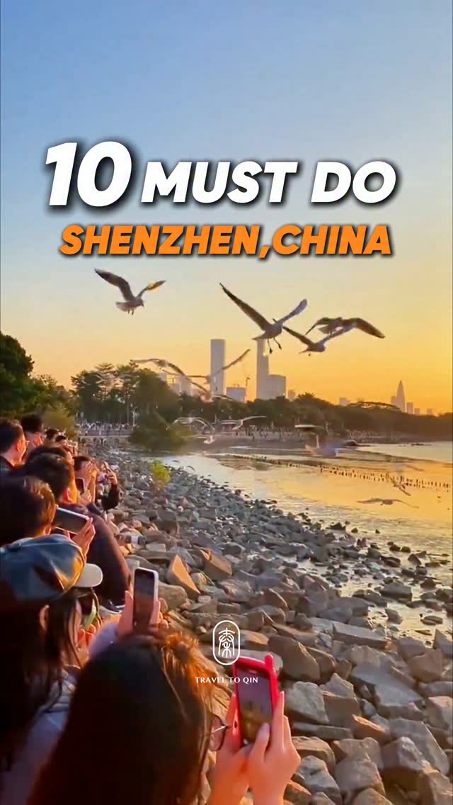 Shenzhen's Top Shopping, Leisure, and Bayfront Spots