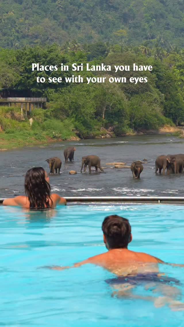 Sri Lanka's Top Tourist Attractions And Stays