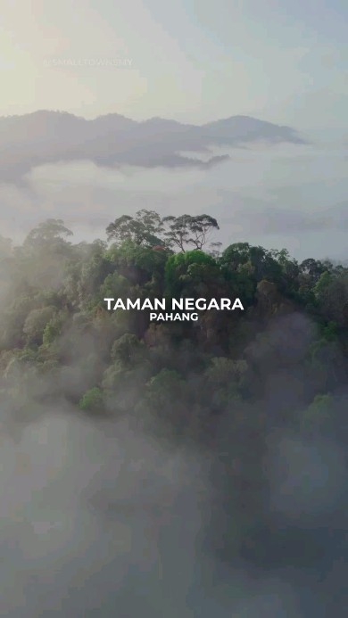 Taman Negara's Rainforest Adventures And Local Flavors