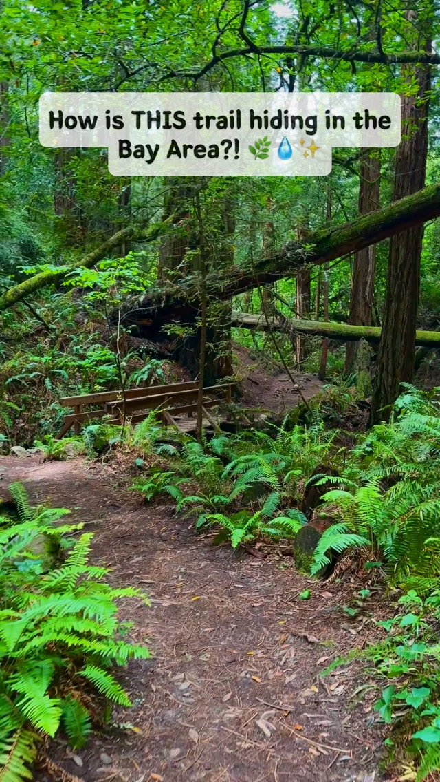 Hidden Waterfall Trail: Cataract Falls
