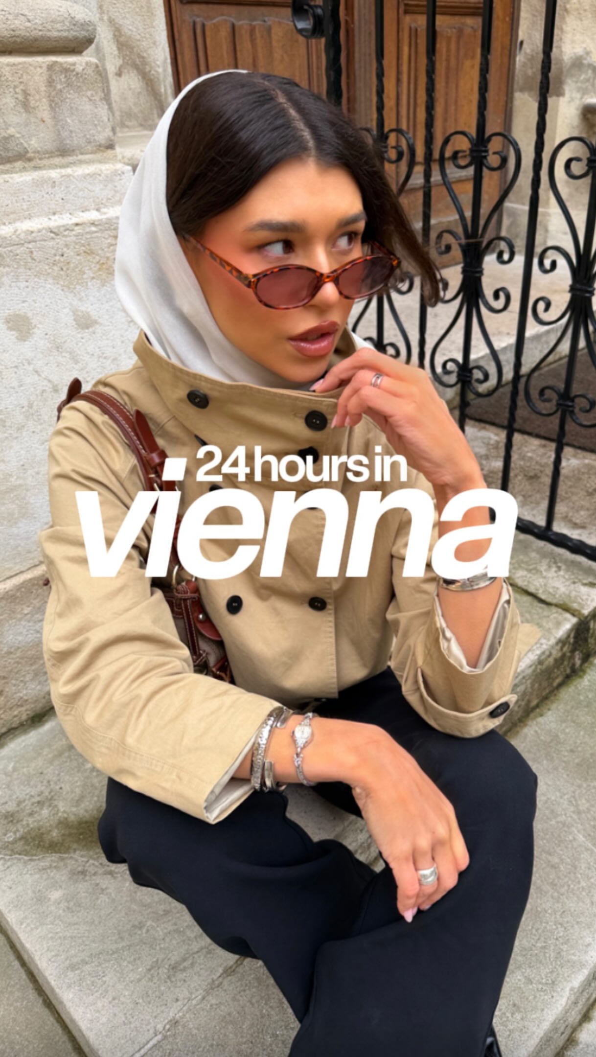 Vienna's Culinary and Cultural Delights