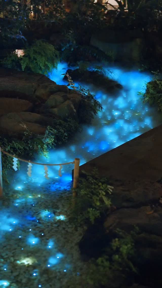 Kawagoe Hikawa Shrine's Illuminated Grounds