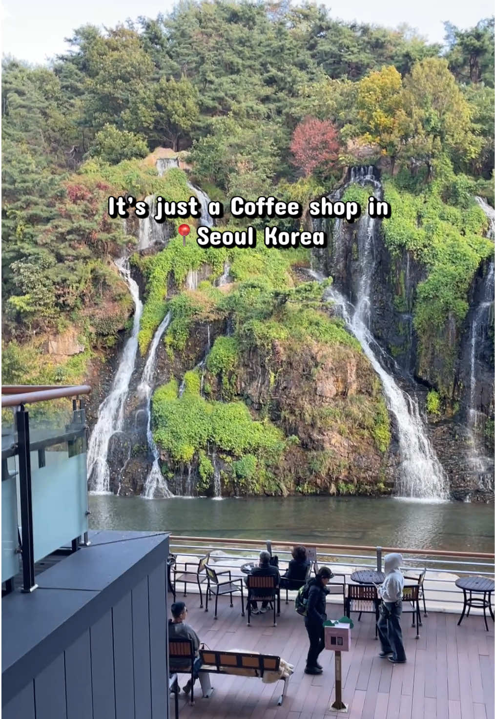 Cafe Pokpo: A Single Scenic Spot