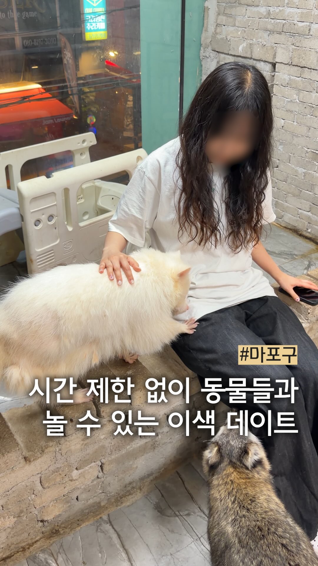 Unique Hongdae Cafe Offers Animal Encounters