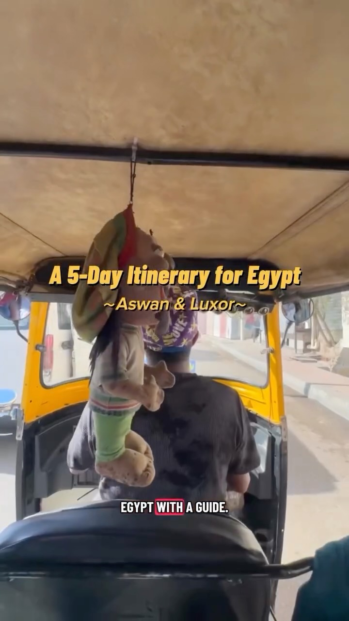 Ancient Temples and Historic Sites in Aswan and Luxor
