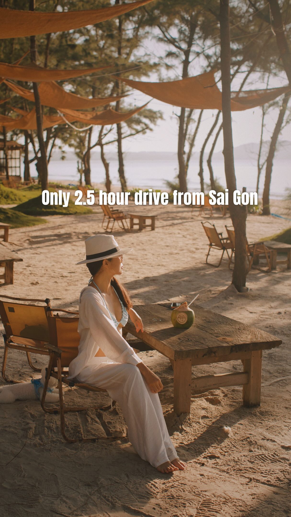 Phan Thiet's Coastal Charm and Seaside Stays