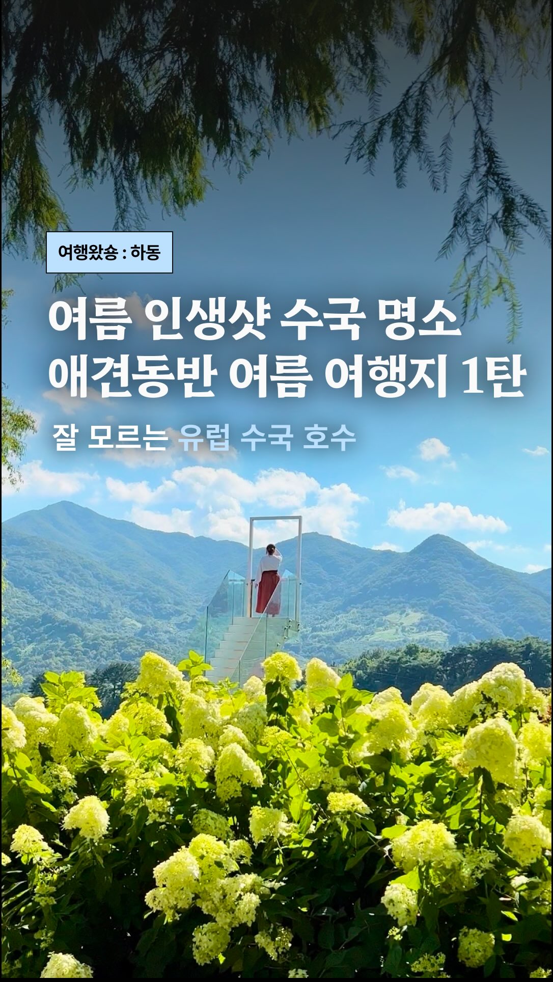 Dongjeongho Park: Hydrangeas, Pet-Friendly, and Photo Ops