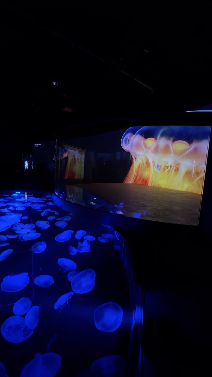 Iconic Los Angeles Attractions and Museums