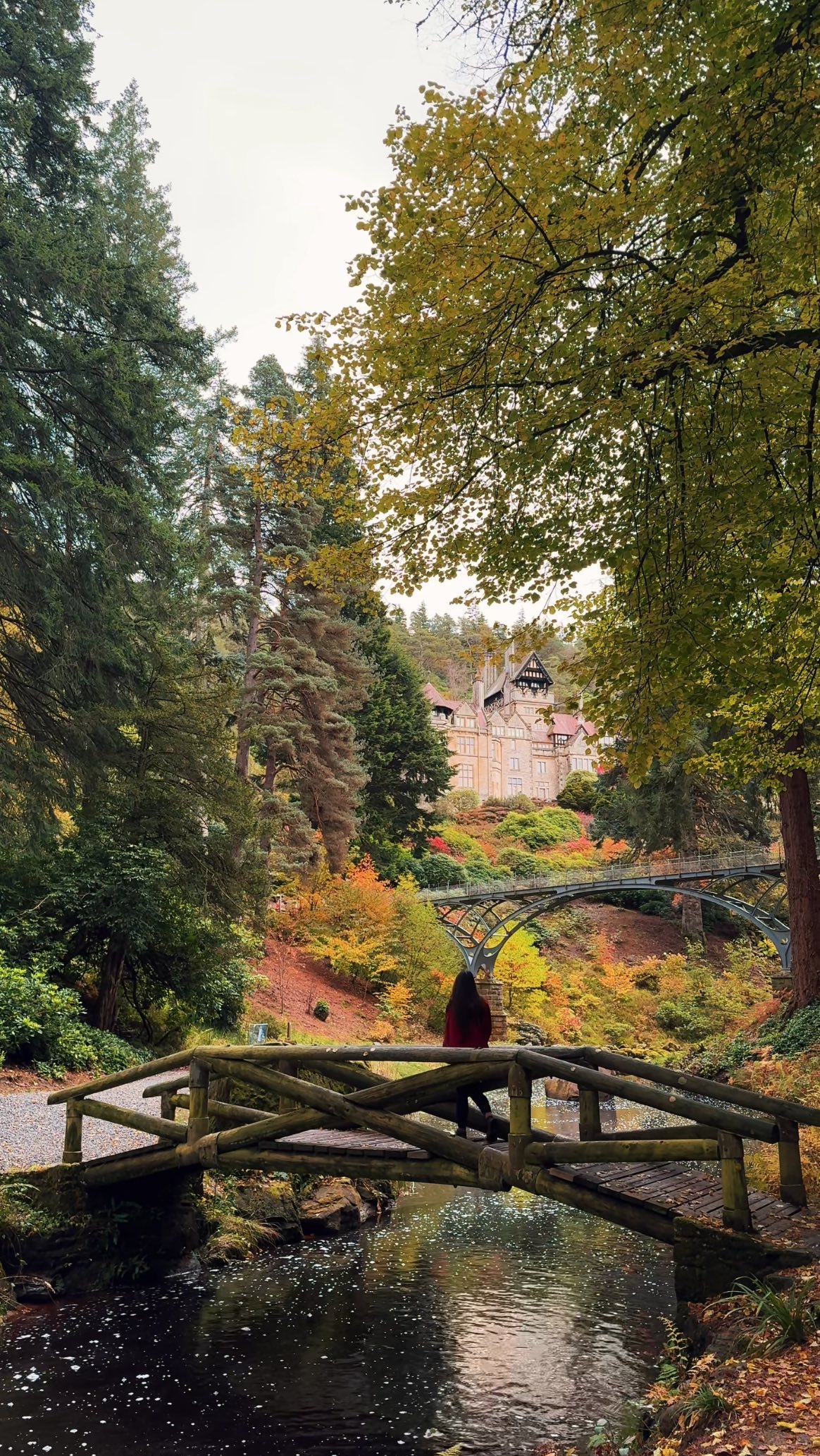 Northumberland's Autumn: Castles, Coast, and Countryside
