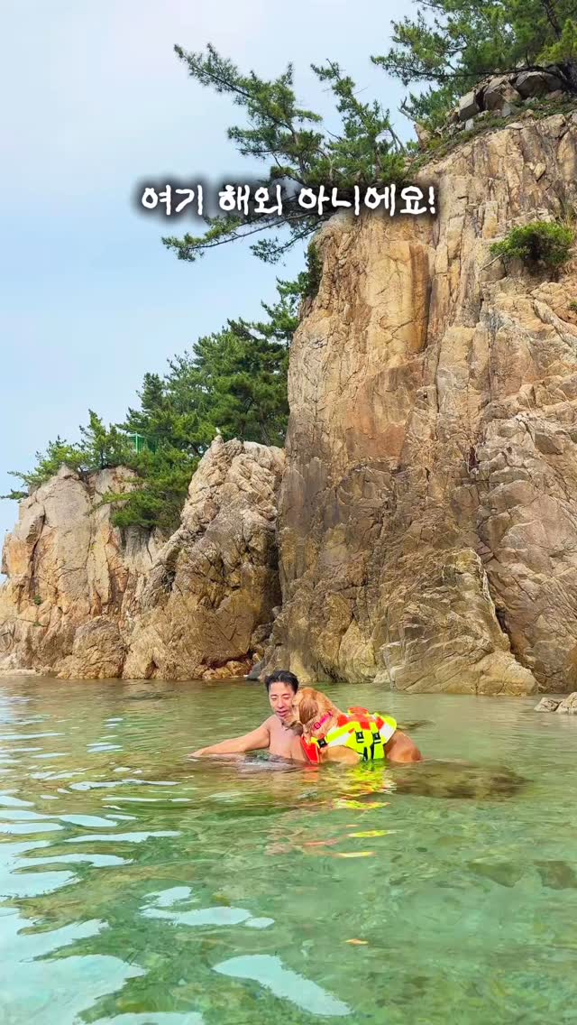Pet-Friendly Beach Paradise for Swimming and Snorkeling