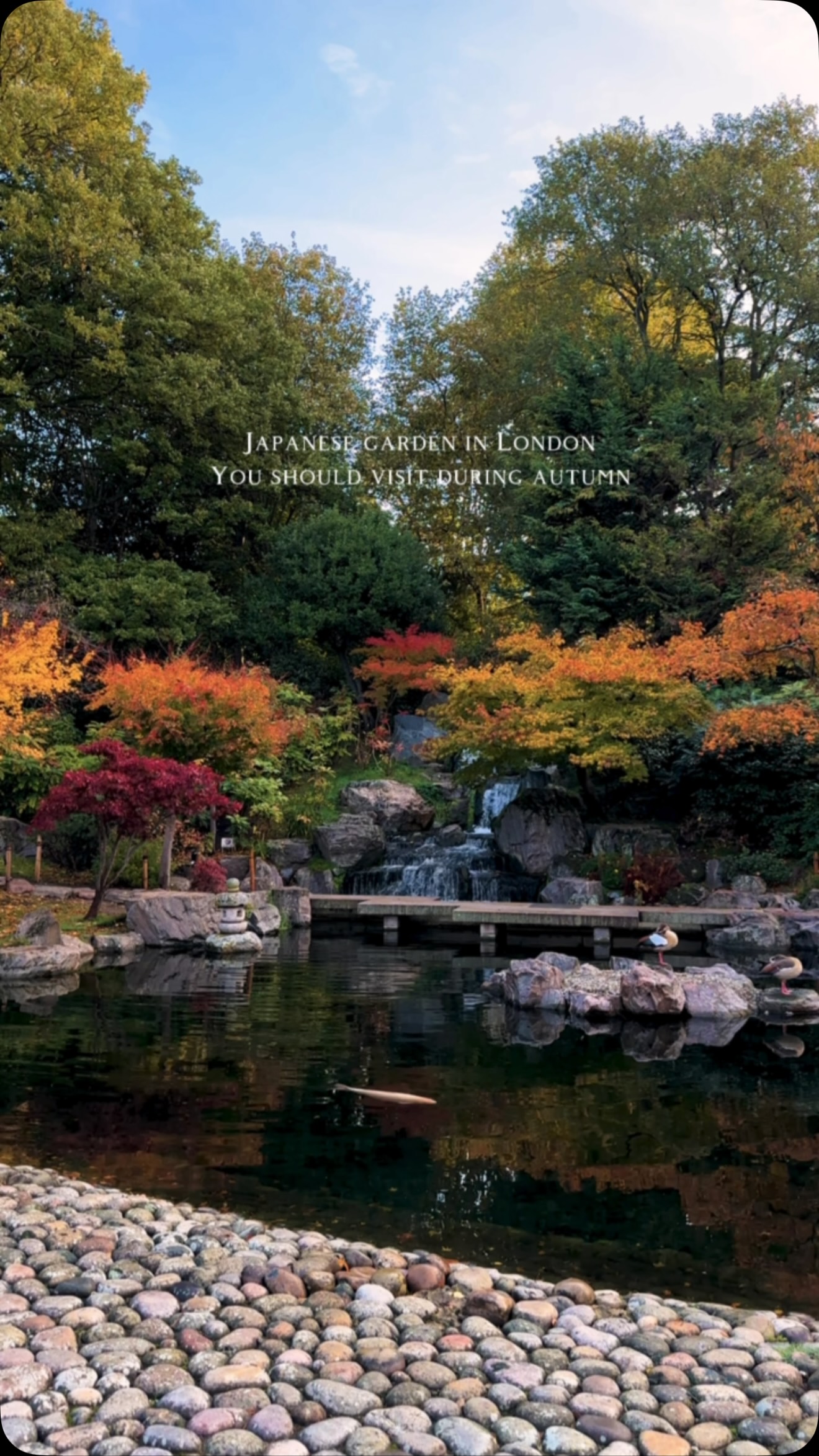 Japanese Garden Within London Park