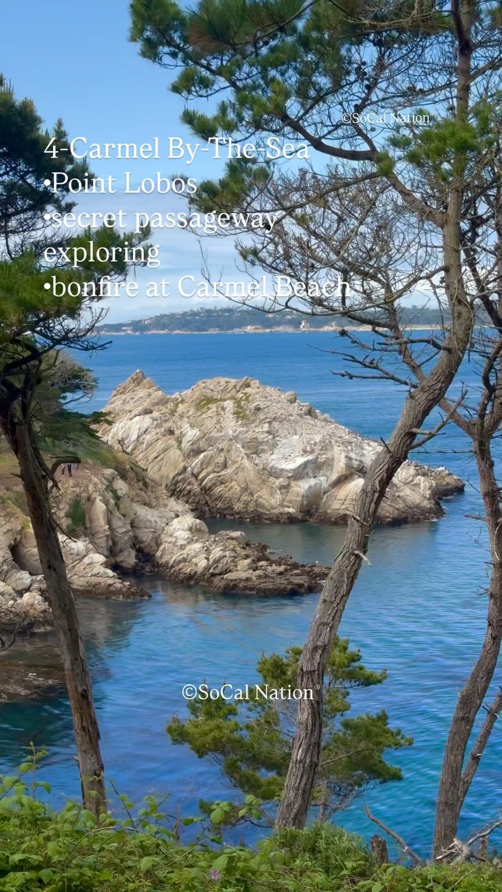 California Coastal Road Trip Highlights