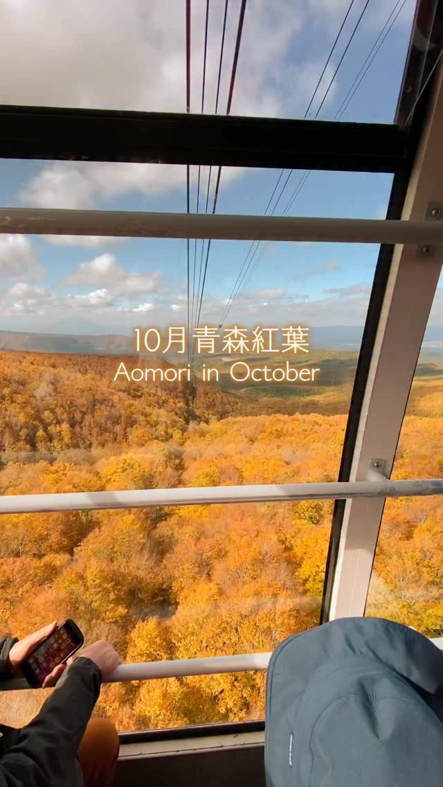 Aomori's Autumn Foliage: Ropeway, Bridges, and Marshes
