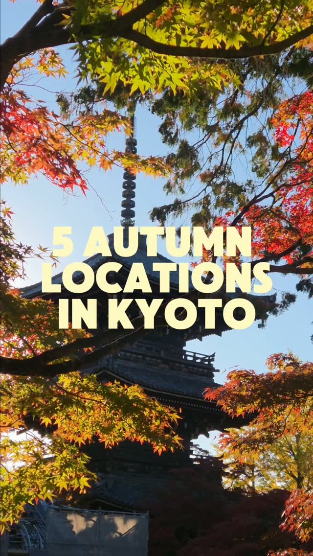 Five Kyoto Temples Displaying Autumn Maple Leaves