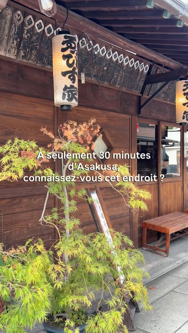 Shibamata's Traditional Temple and Food Street