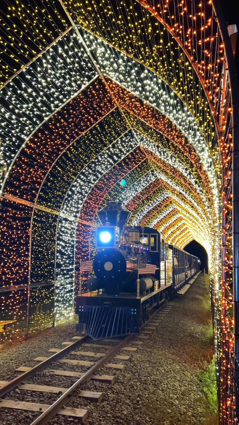 Orchard's Nighttime Train Ride Through Lights