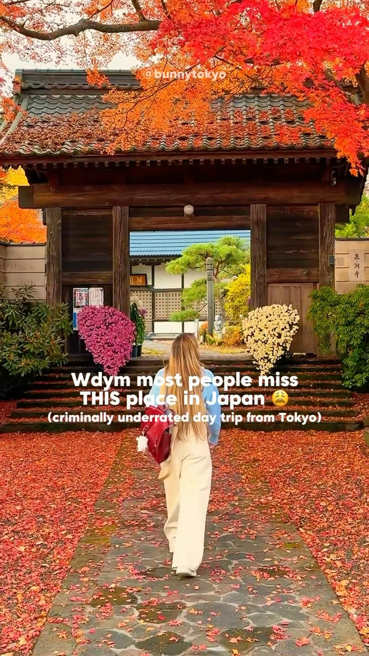 Oiwake Juku: A Hidden Autumn Gem