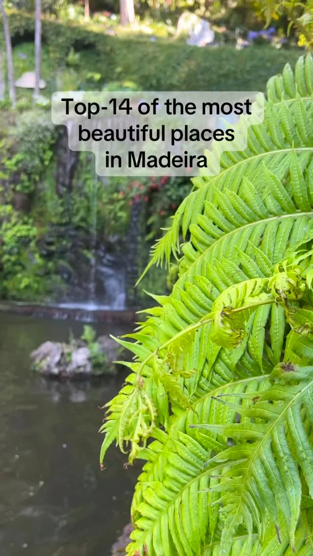 Madeira's Most Beautiful Natural and Cultural Attractions