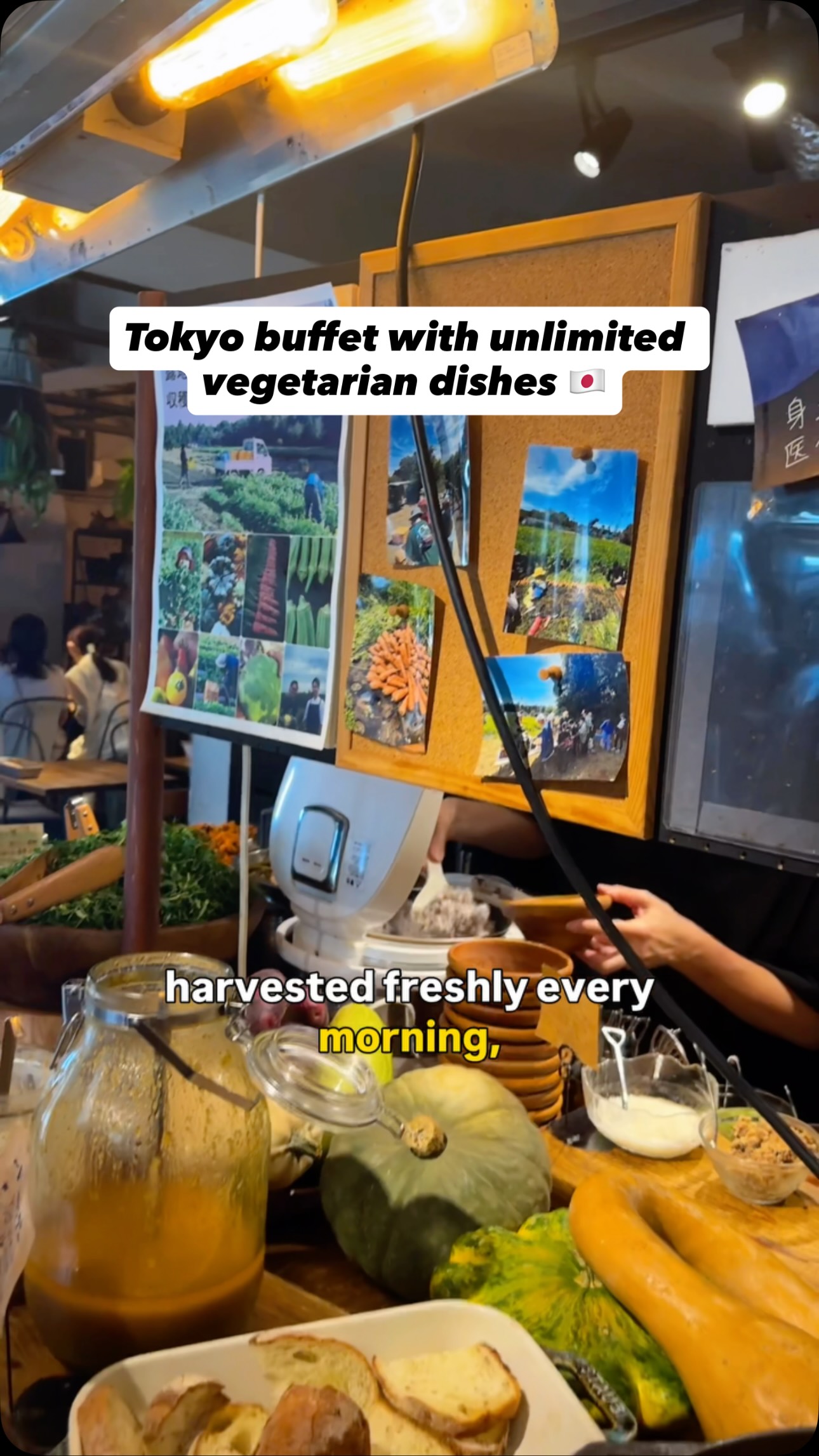 Tokyo Restaurant Serves Organic Dishes From Own Farm