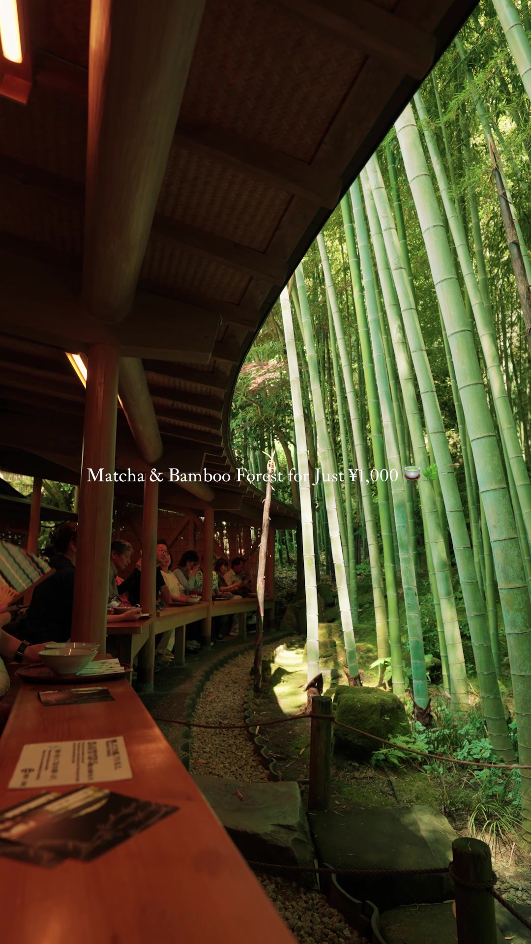 Kamakura Bamboo Forest Matcha Experience