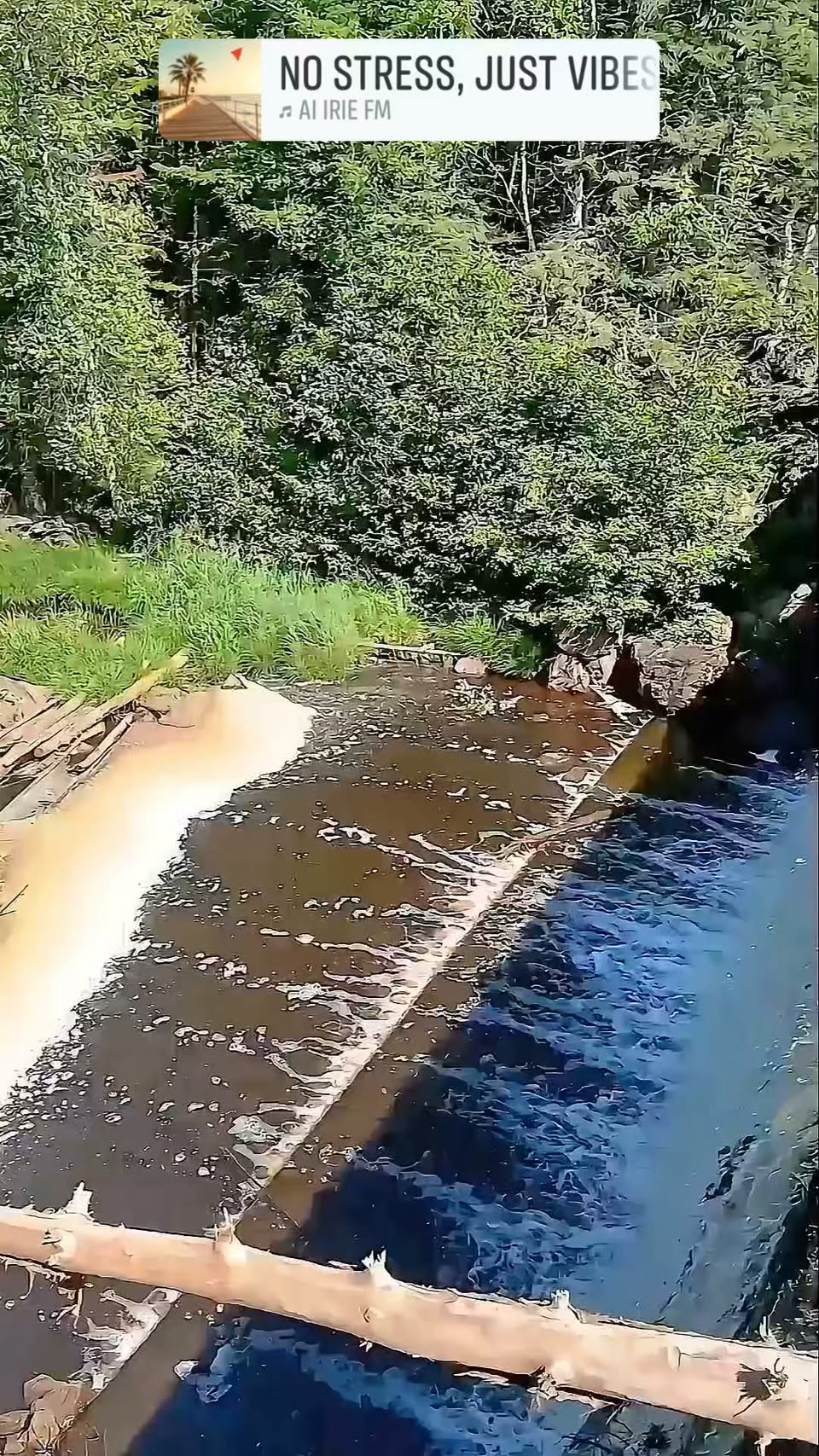 Mill Creek Nature Park's Transformation