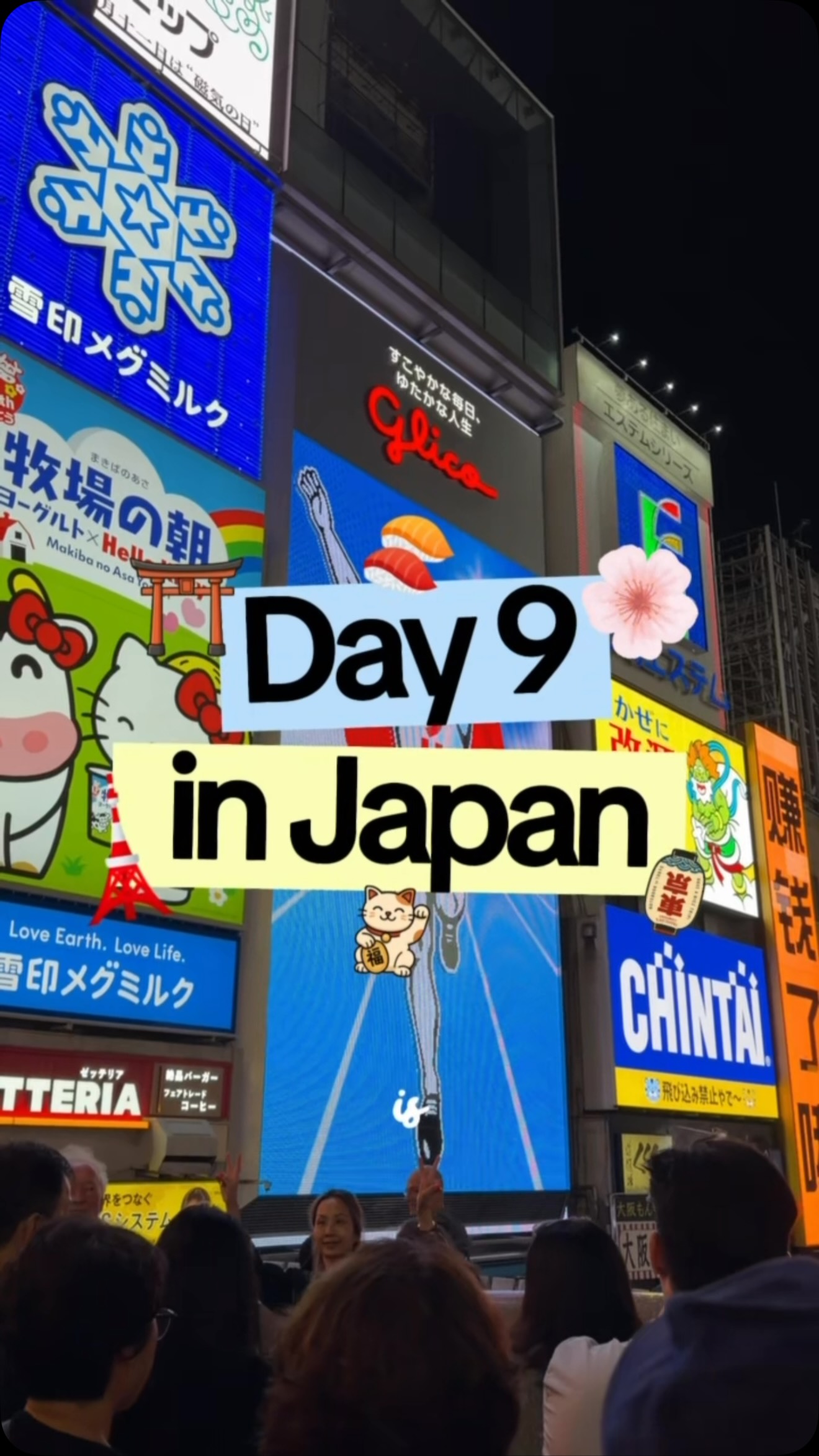 Dotonbori's Dining And Entertainment Destinations