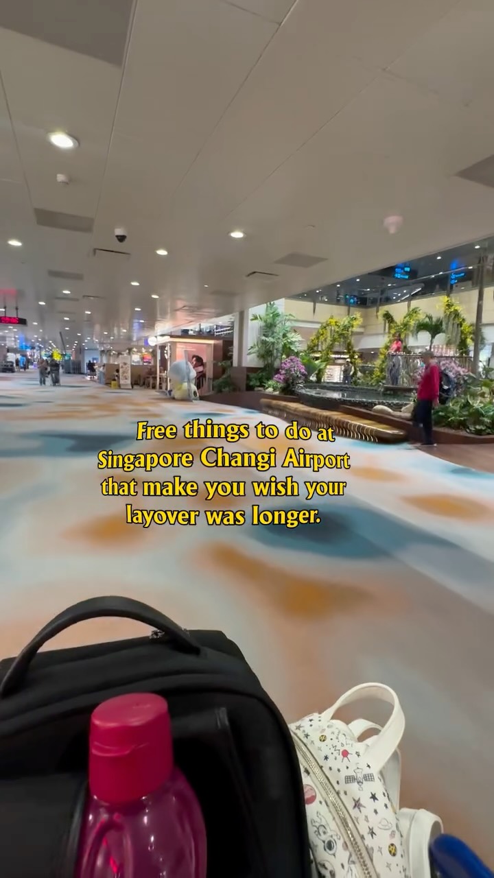 Singapore Airport Layover Activities and Amenities
