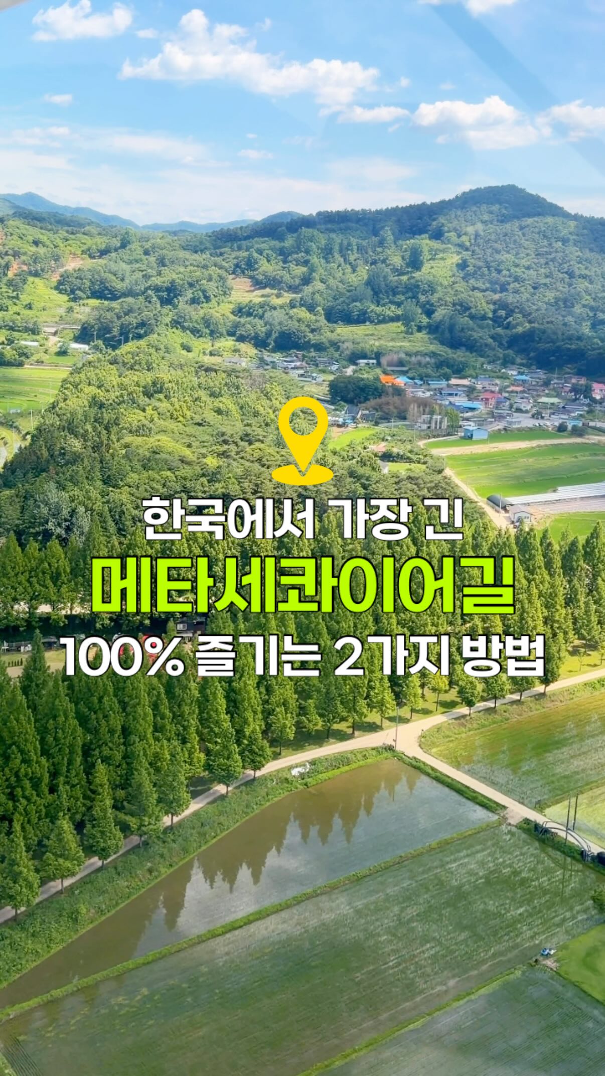 Metasequoia Road Attractions And Activities