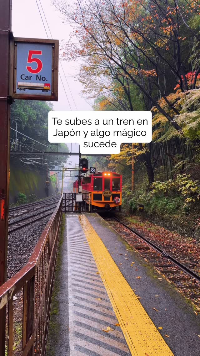 Sagano Romantic Train Autumn Foliage Scenic Journey