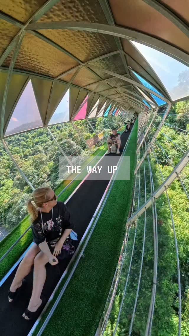 Gulong Gorge Mountain Coaster Thrill Ride