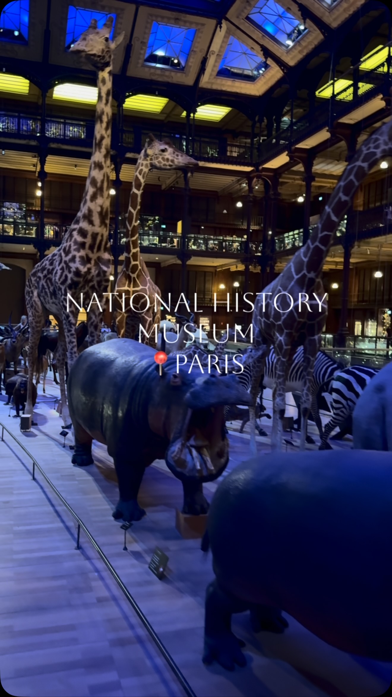 Paris Landmark Features Family-Friendly Exhibits