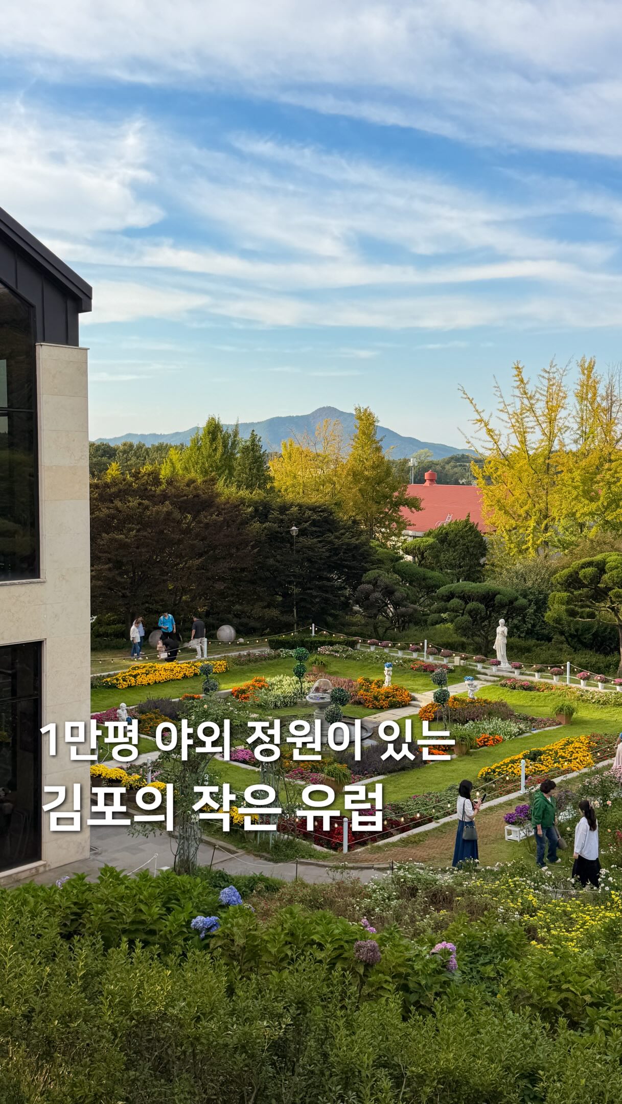 Disney-Themed Cafe With Garden In Gimpo