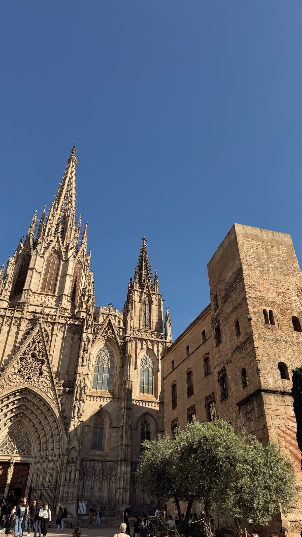 Family Day Out In Barcelona's Top Attractions