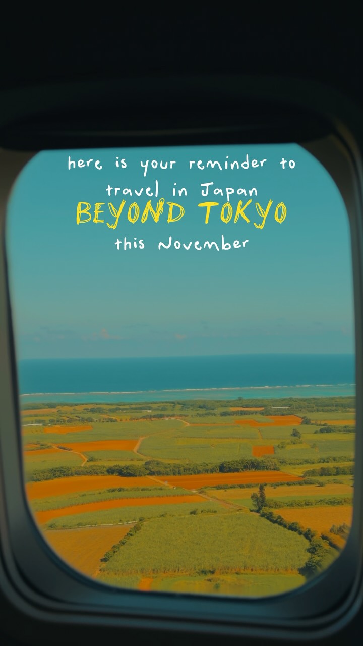 Okinawa and Ishigaki: November Island Getaways