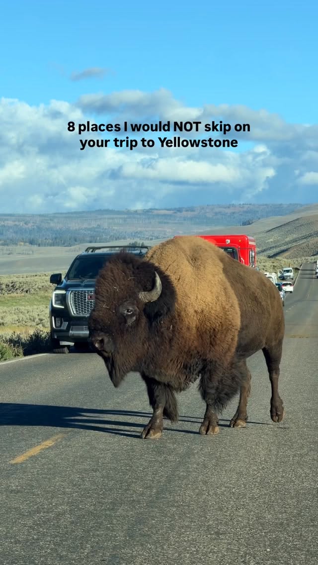 Yellowstone National Park's Iconic Natural Wonders