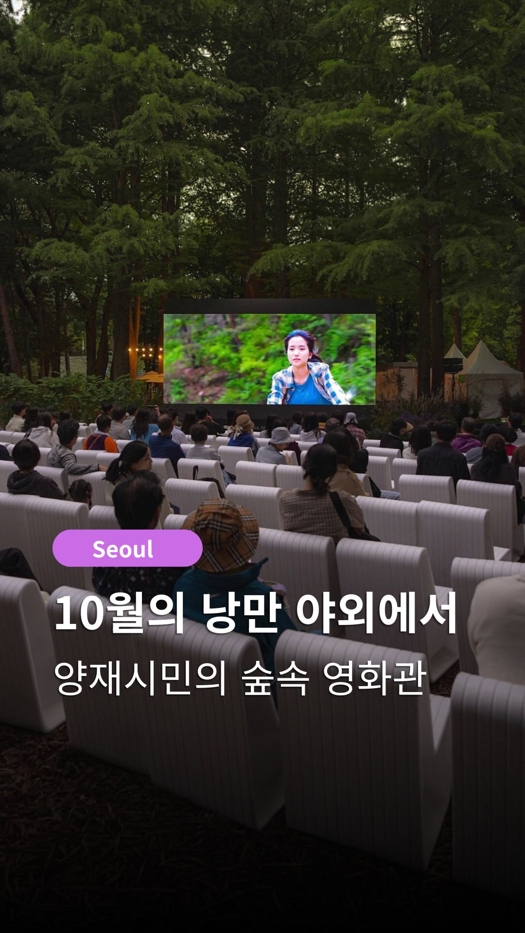 Seoul Forest Cinema Event at Maheon Citizen's Forest