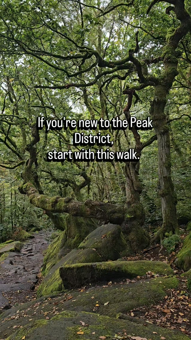 Magical Mossy Padley Gorge Walk in Peak District