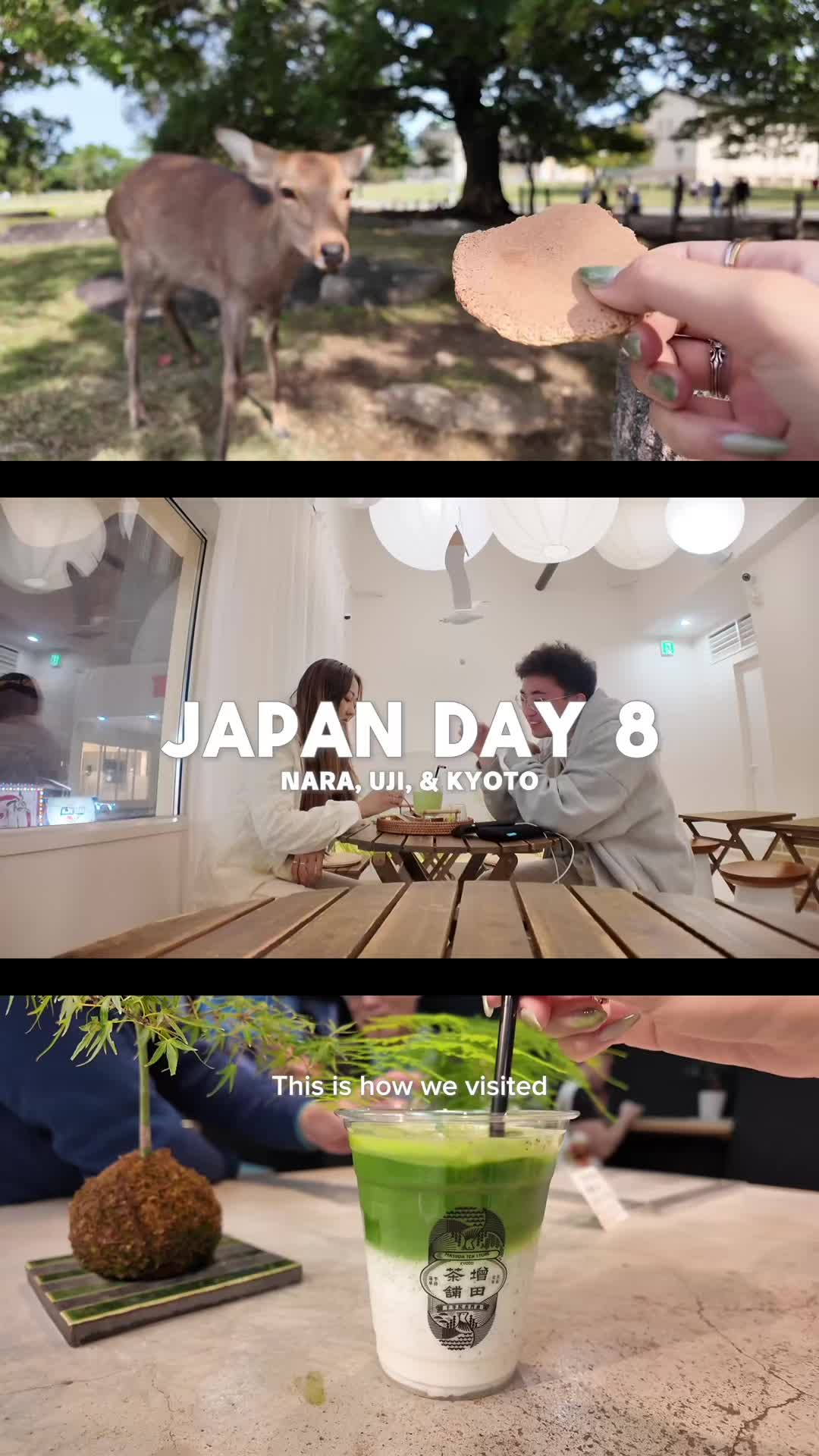 Exploring Nara, Uji, and Kyoto's Charm