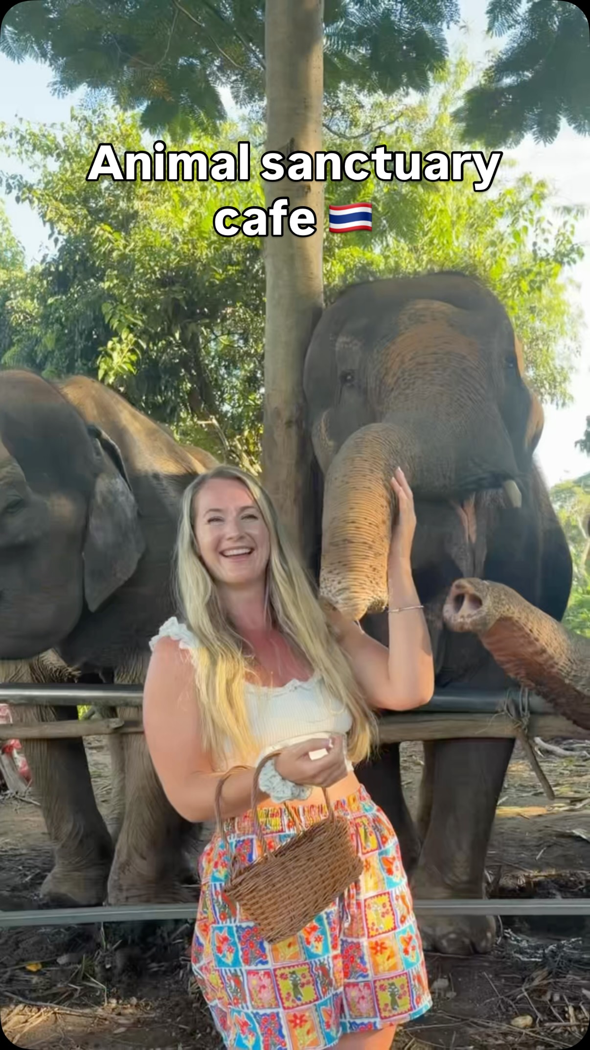 Elely Cafe: Chiang Mai Animal Sanctuary and Eatery