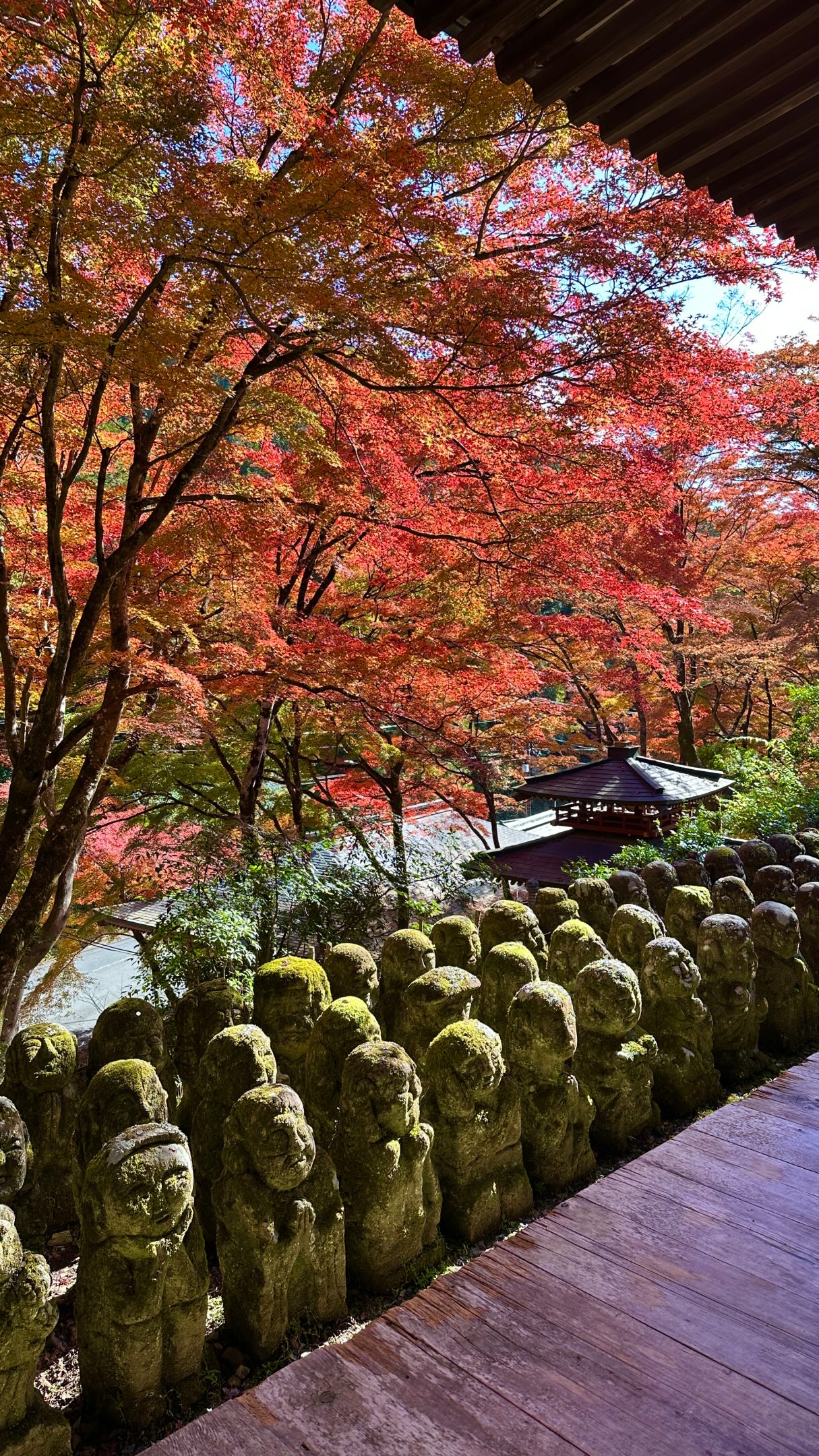 Kyoto's Temples, Bamboo Grove, and Pagoda