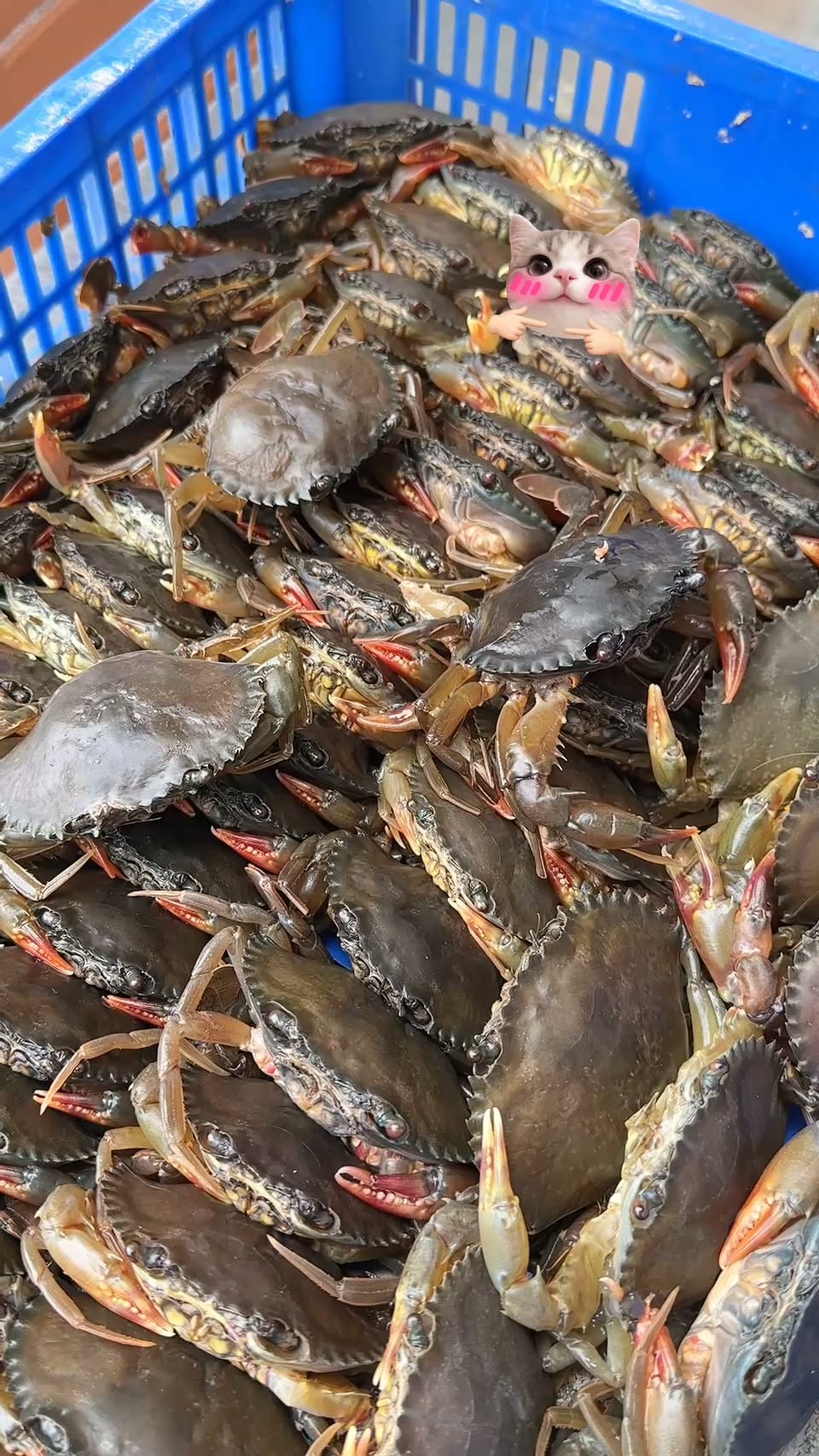 Vietnamese Restaurant Features Crab Combo Deals
