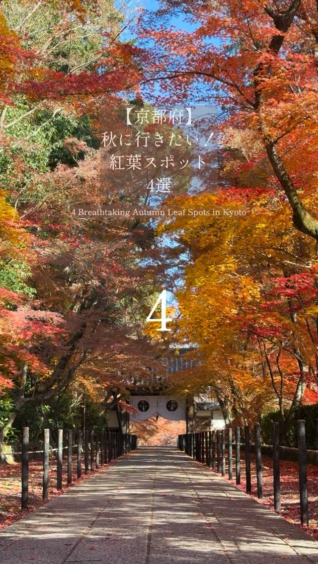 Kyoto's Top Four Temples For Autumn Leaves